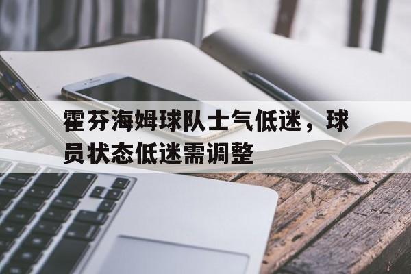 霍芬海姆主场球衣