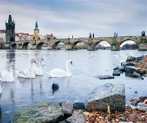 捷克金钱万能搭讪系列