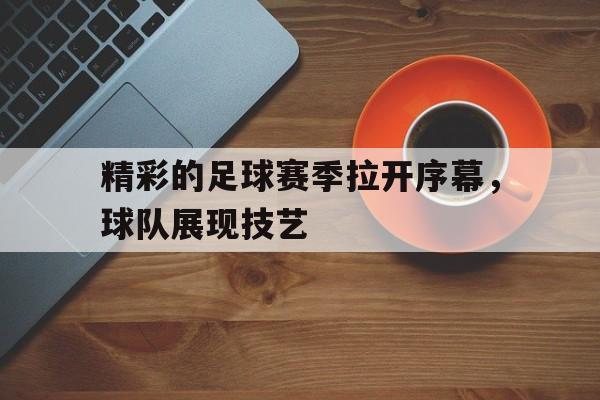 足球联赛开始